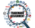 The minefield of trademark assignment