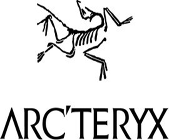 Case of Selling "Arc'teryx" with Counterfeit Registered Trademarks