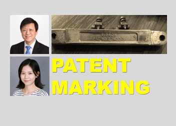 Is Patent Marking the Patent Owner's Right or Statutory Duty?